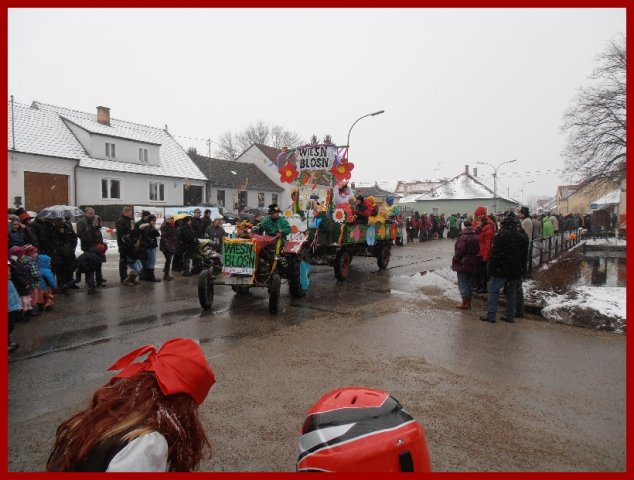 Narrentreiben 2013 (Fotos Robert Bayer)