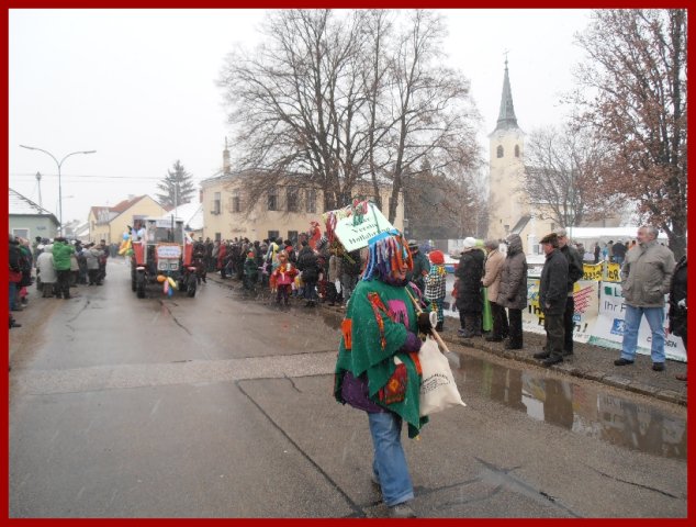Narrentreiben 2013 (Fotos Robert Bayer)