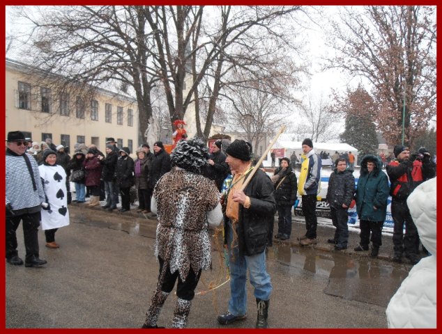 Narrentreiben 2013 (Fotos Robert Bayer)