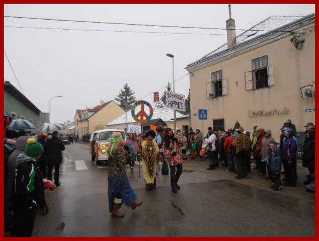 Narrentreiben 2013 (Fotos Robert Bayer)