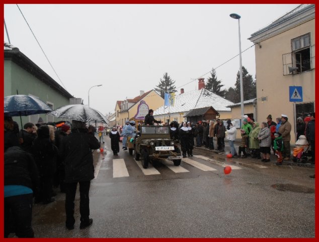 Narrentreiben 2013 (Fotos Robert Bayer)