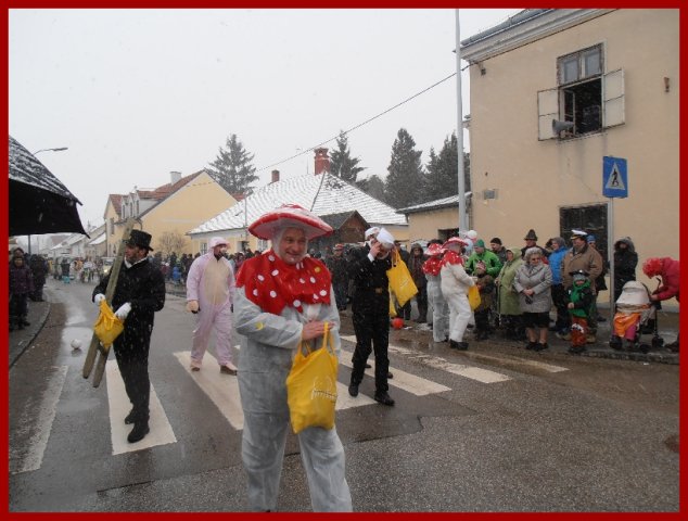 Narrentreiben 2013 (Fotos Robert Bayer)