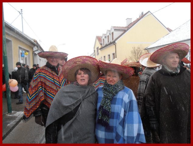 Narrentreiben 2013 (Fotos Robert Bayer)