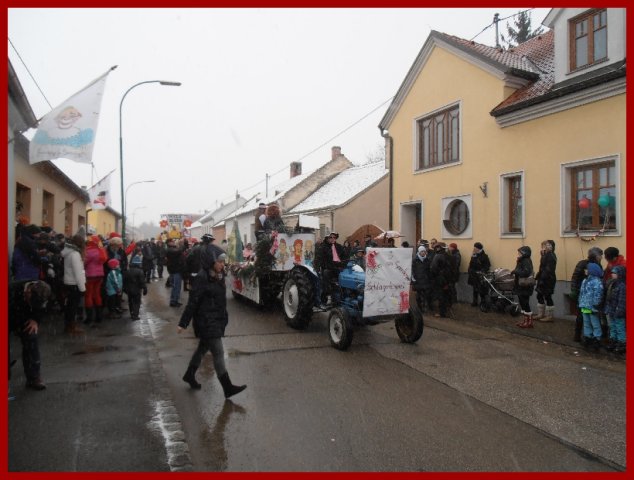 Narrentreiben 2013 (Fotos Robert Bayer)