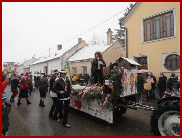 Narrentreiben 2013 (Fotos Robert Bayer)