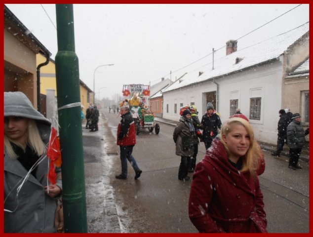 Narrentreiben 2013 (Fotos Robert Bayer)