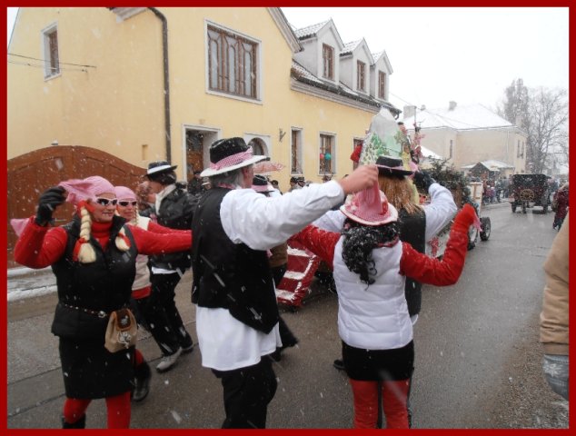 Narrentreiben 2013 (Fotos Robert Bayer)