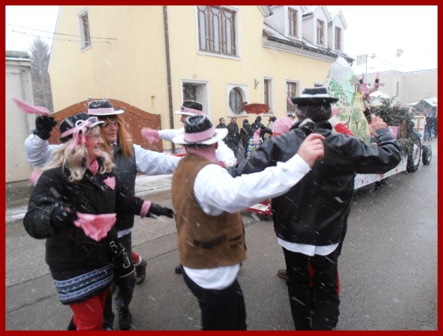 Narrentreiben 2013 (Fotos Robert Bayer)