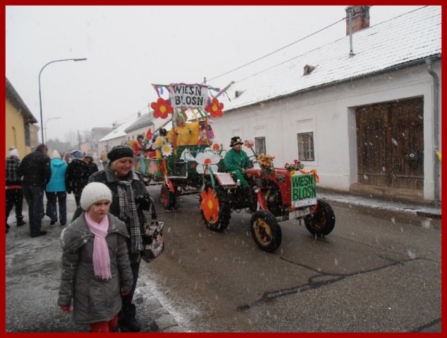 Narrentreiben 2013 (Fotos Robert Bayer)