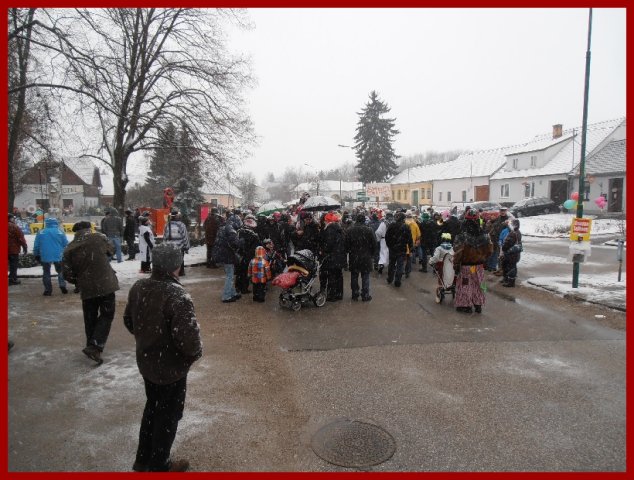 Narrentreiben 2013 (Fotos Robert Bayer)