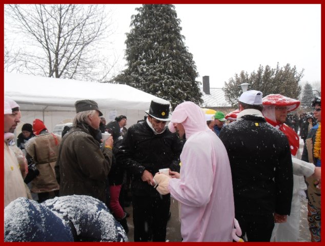 Narrentreiben 2013 (Fotos Robert Bayer)