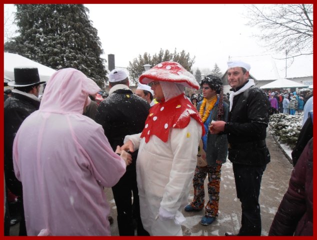 Narrentreiben 2013 (Fotos Robert Bayer)