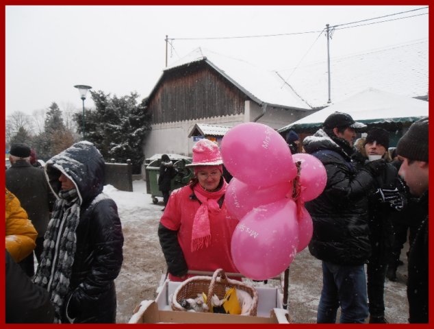 Narrentreiben 2013 (Fotos Robert Bayer)