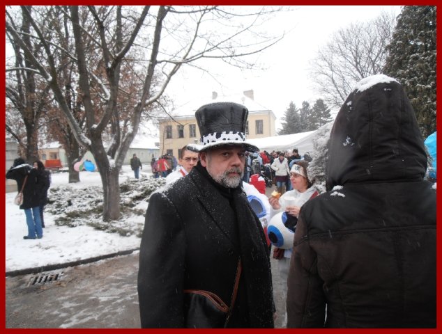 Narrentreiben 2013 (Fotos Robert Bayer)