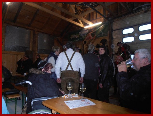 Narrentreiben 2013 (Fotos Robert Bayer)