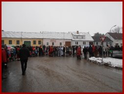 Narrentreiben 2013 (Fotos Robert Bayer)