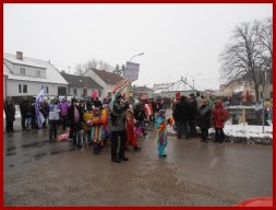 Narrentreiben 2013 (Fotos Robert Bayer)