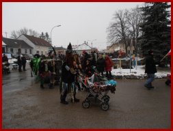 Narrentreiben 2013 (Fotos Robert Bayer)