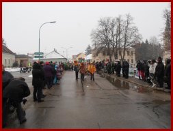 Narrentreiben 2013 (Fotos Robert Bayer)