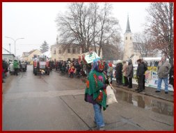 Narrentreiben 2013 (Fotos Robert Bayer)