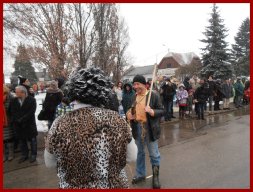 Narrentreiben 2013 (Fotos Robert Bayer)