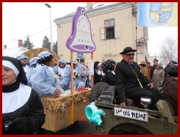 Narrentreiben 2013 (Fotos Robert Bayer)