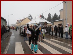 Narrentreiben 2013 (Fotos Robert Bayer)