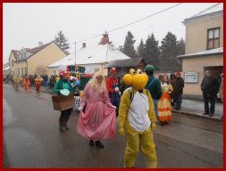 Narrentreiben 2013 (Fotos Robert Bayer)