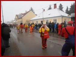 Narrentreiben 2013 (Fotos Robert Bayer)