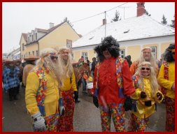 Narrentreiben 2013 (Fotos Robert Bayer)