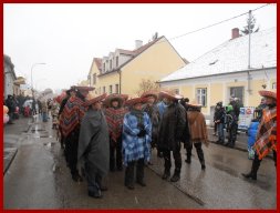 Narrentreiben 2013 (Fotos Robert Bayer)