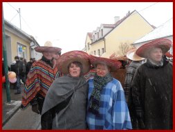 Narrentreiben 2013 (Fotos Robert Bayer)