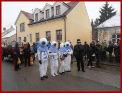 Narrentreiben 2013 (Fotos Robert Bayer)