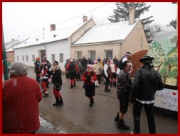 Narrentreiben 2013 (Fotos Robert Bayer)