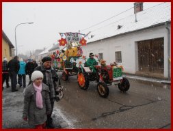 Narrentreiben 2013 (Fotos Robert Bayer)