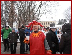 Narrentreiben 2013 (Fotos Robert Bayer)