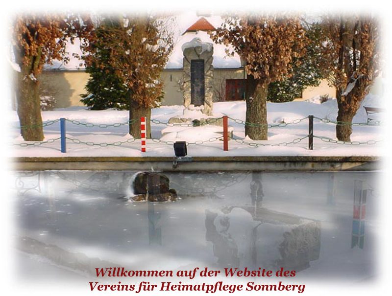 winterbild 800x600